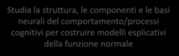 Che cos è la neuropsicologia?