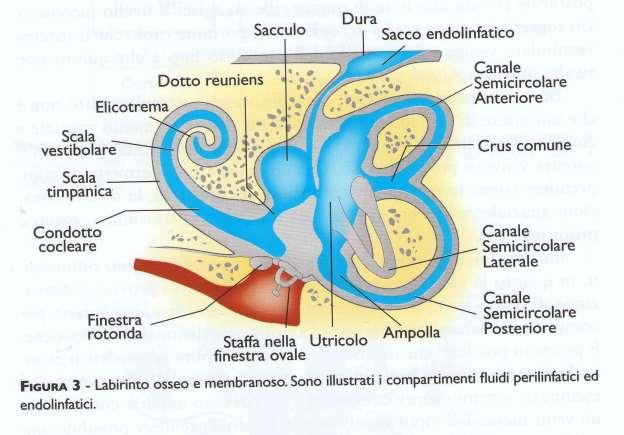 Riflettiamo sull anomala