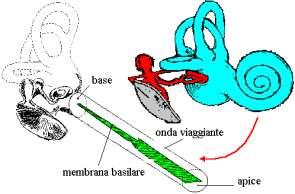 frequenze distanti nello