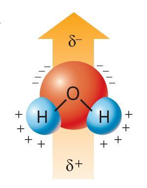 Proprietà chimica dell acqua I legami O-H sono covalenti polari.