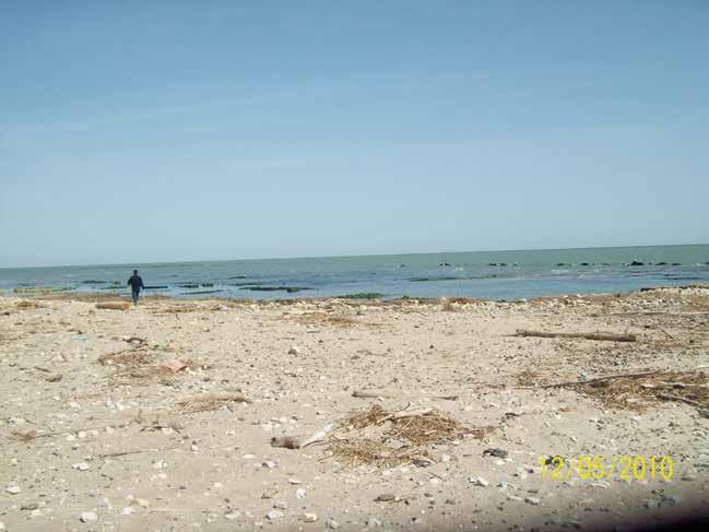 Figura 101 - La zona a nord del Poligono Militare dove il mare ha demolito 700 m di opere di difesa (12 Maggio 2010). 140 Il tratto di litorale dalla foce del Reno al Bagno Giamaica, lungo circa 4.