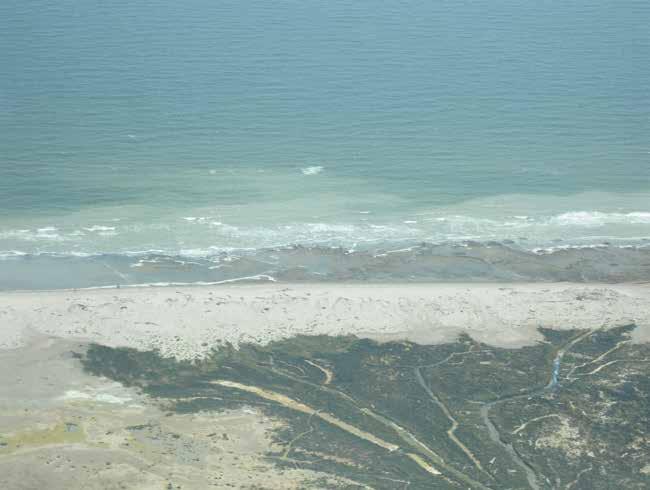 gura 151). Le peliti presentano forme terrazzate a bassissimo gradiente verso mare con bordi a scarpata ripida, dell altezza variabile da alcuni a centimetri a svariati decimetri.