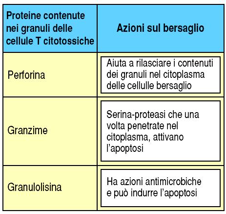 Molecole