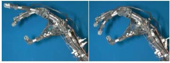 Fig. 5-4 Mano robotica dimostrativa degli attuatori in EAP (Jet Propulsion Laboratory, JPL) [50].