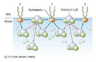 Gas Liquido Gas Liquido Palmitato Glicerolo Fosfato Colina Il surfattante è un fosfolipide: Dipalmitoilfosfatidilcolina (DPPC) prodotto dai pneumociti di II tipo.