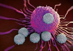 3 Perché questo opuscolo? L immuno-oncologia ha dato inizio a una nuova era nel trattamento dei tumori.
