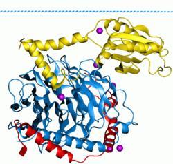 Recettori legati alla proteina G Le proteine G sono proteine enterotrimeriche ad attività GTPasica formate da subunità α, β, γ.