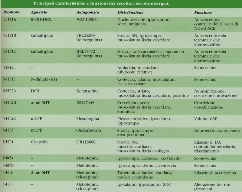 recettore della serotonina I recettori metabotropi serotoninergici (o della serotonina) sono sei e Si trovano nel sistema nervoso centrale e periferico, sulla membrana cellulare delle cellule nervose