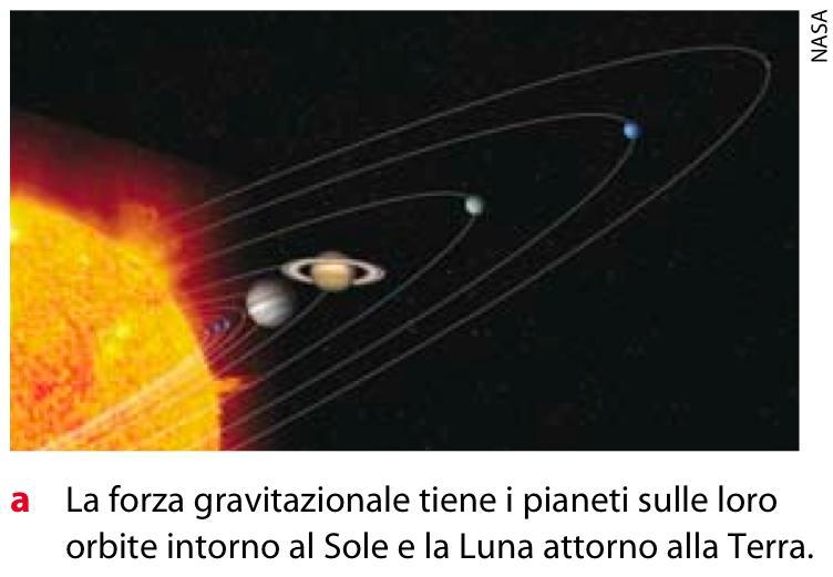 fondamentali: - Forza gravitazionale - Forza