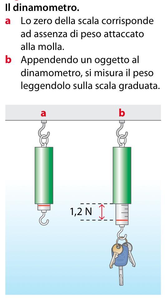 Gli allungamenti elastici Il dinamometro è uno strumento di misura (statica) delle forze che si basa sull allungamento di una molla.