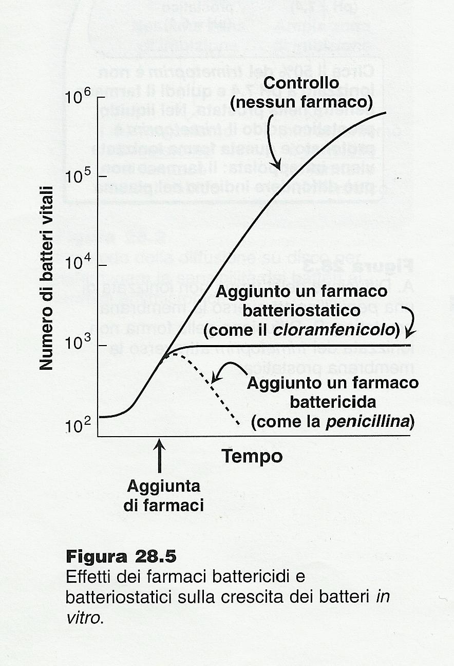 (concentrazione dipendente, anche su batteri in fase statica) L effetto battericida è di grandissima importanza durante le prime 4-8 h ed è clinicamente rilevante solo