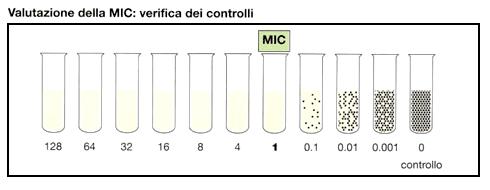 MIC (minima concentrazione inibente): la concentrazione