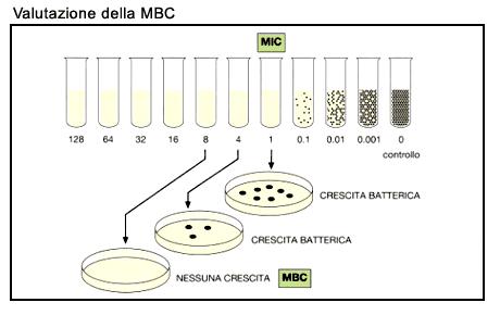 MBC (concentrazione battericida minima): la concentrazione minima