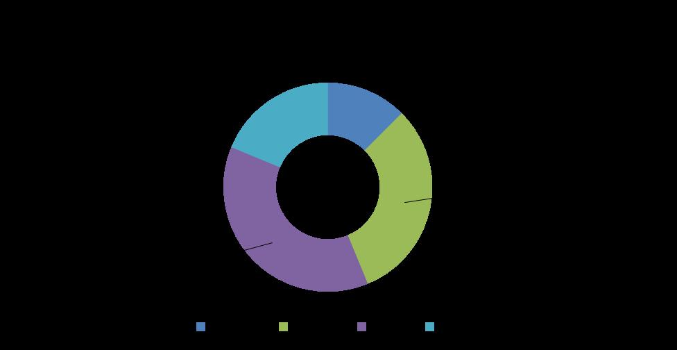 In particolare, nell anno 2013, si nota che il 38% degli occupanti di un autovettura deceduti è un adulto (tra i 35 ed i 69 anni), mentre il 31% è un giovane (tra i 18 ed i 34 anni).