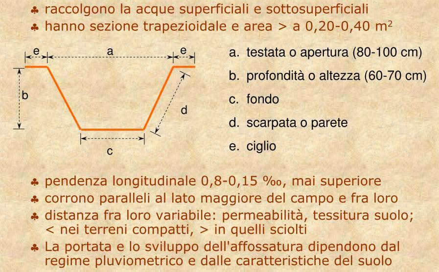 LE SCOLINE (fossi