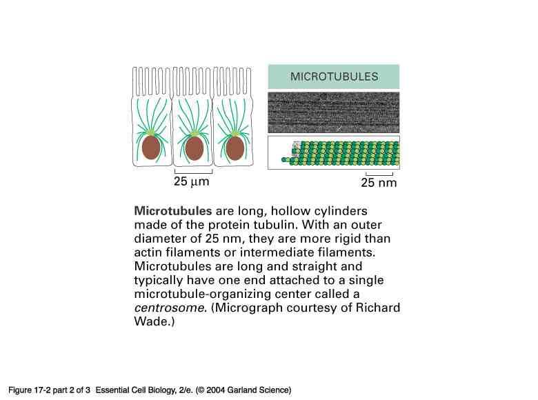 Microtubules are tubes made up of spiraling, two-part subunits. It is made of tubulin.
