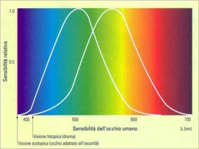 la lunghezza d'onda è legata al colore Sensibilità dell occhio Curve di sensibilità dell occhio umano L'occhio è sensibile in modo diverso alle varie lunghezze d'onda.