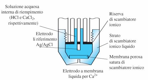 Elettrodi a membrana liquida In questo caso la membrana cristallina è sostituita da un liquido in grado di scambiare ioni,