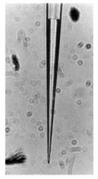 In una variante degli elettrodi a membrana liquida si fa uso di particolari molecole organiche, dette ionofori, inglobate nella membrana, che hanno particolare affinità per alcuni ioni.