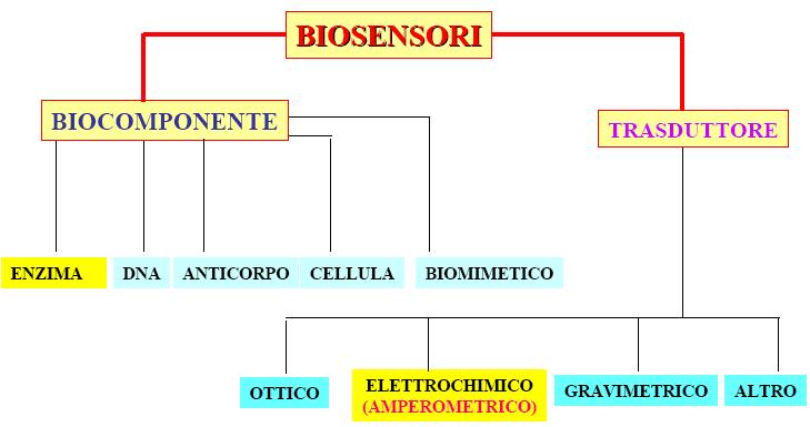 Nei biosensori potenziometrici tale variazione riguarda il potenziale di un elettrodo