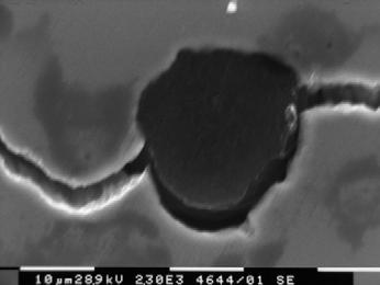 Figura 13: Ghisa ferrito-perlitica ottenuta mediante trattamento termico. Ramificazione della cricca (R = 0.75; K = 7 MPa m). Figura 14: Ghisa ferrito-perlitica ottenuta mediante trattamento termico.