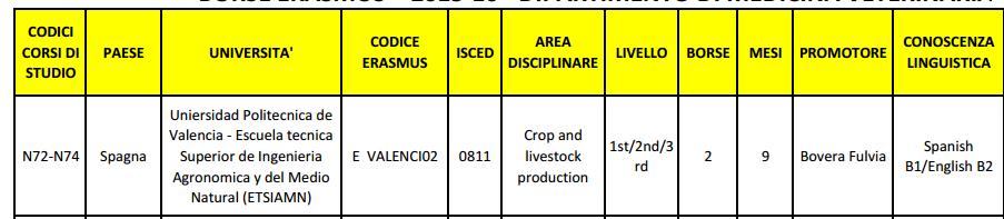 Erasmus +