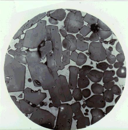 Clinker per cemento portland Figura 3: Micrografia del clinker (500 ) Minerali del clinker: Alite poligonale