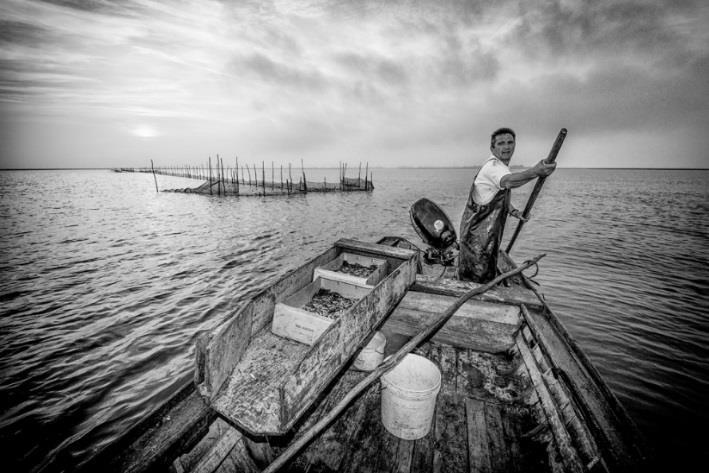 Patrimonio Intangibile La pesca tradizionale La pesca costituisce uno dei punti di forza e di sviluppo di Venezia, rappresentando