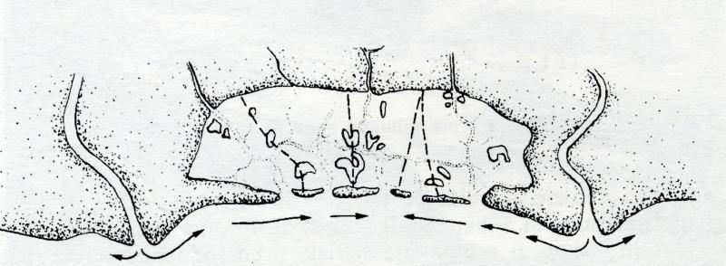 Fig. 2. Rappresentazione schematica di una laguna (tratto da Brambati, 1988).