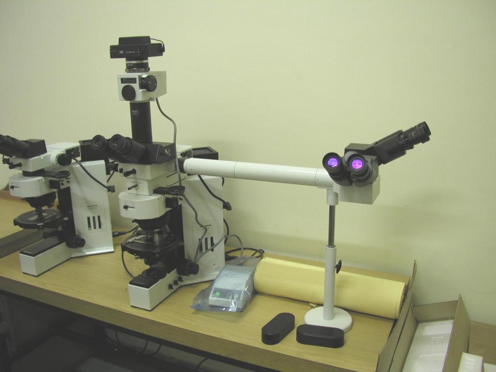 Il Microscopio Macchina fotografca Altri esempi di