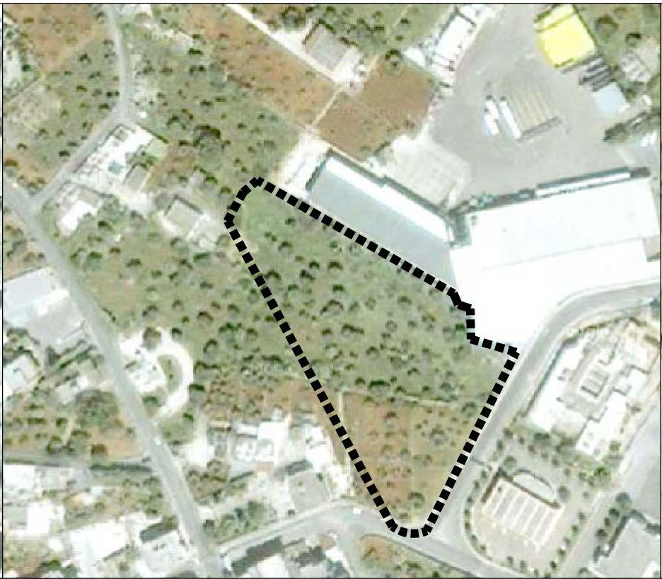 ambiti di rigenerazione AMBITO 7 Riqualificazione dell'area situata tra Federico II e via Amedeo di Savoia Duca d'aosta, zona nord-ovest del centro abitato Interventi Realizzazione di attrezzature