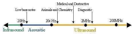 Ecografia L'hertz (Hz) è l'unità di