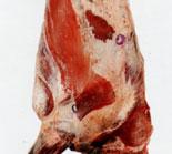 contaminazione delle carni: chiusura esofago e ano,