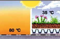 Con lo sviluppo del pannello di supporto Solarbasis i tetti verdi di ZinCo diventano ancora più interessanti poiché possono essere abbinati a un impianto di