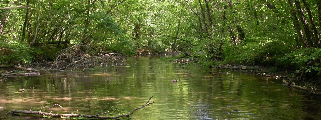 Le tre aree fluviali sono ambienti ricchissimi di biodiversità 75% delle specie piemontesi.