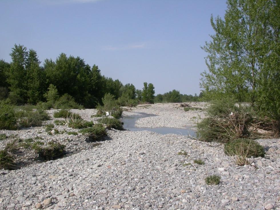 Introduzione Gli ambienti fluviali sono tra gli habitat più ricchi di biodiversità Questa elevata diversità animale e vegetale