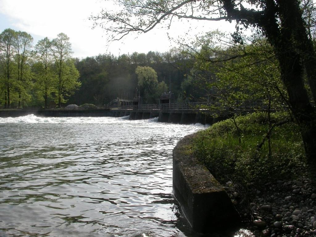 Conservazione Gli ambienti fluviali sono tra gli ecosistemi più importanti a livello conservazionistico (Hughes & Rood, 2001; Ward et al.