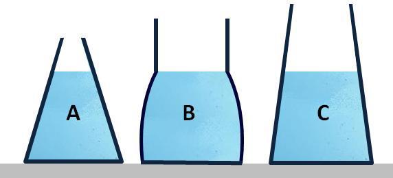 quale dei tre la forza premente sul fondo è maggiore? b) In quale la pressione sul fondo è maggiore?