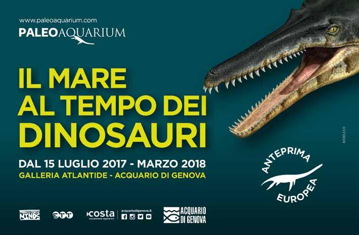 14 PaleoAquarium Il mare al tempo dei dinosauri Mostra temporanea in anteprima europea Un innovativa esposizione temporanea dedicata agli animali marini che abitavano gli Oceani al tempo dei