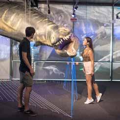 La mostra consente di scoprire i grandi predatori marini estinti, grazie a ricostruzioni in scala naturale, postazioni multimediali interattive e un teatro VR Gear con 10 postazioni di realtà