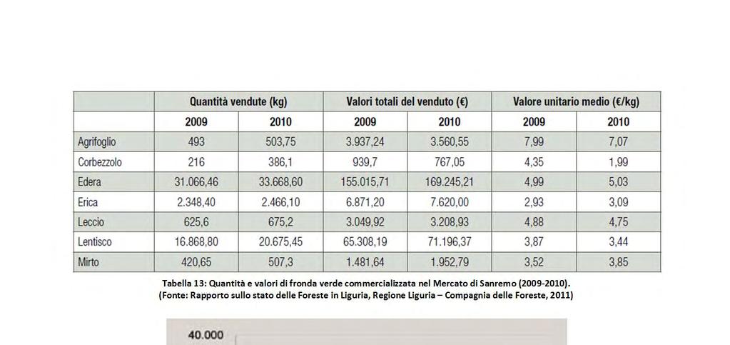 Tabella 13: Quantità e valori di fronda verde commercializzata nel Mercato di Sanremo (2009 2010).
