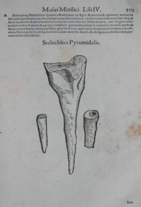 dubbio i meglio studiati del