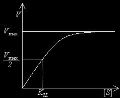 Interpretazione grafica Sperimentalmente si ottiene un grafico di questo tipo: Si verifica che quando la concentrazione del substrato è uguale al valore di KM allora il valore della velocità è uguale