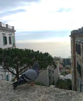 Il Vomero che scende a Chiaia Passeggiata narrata alla riscoperta del territorio urbano lungo un