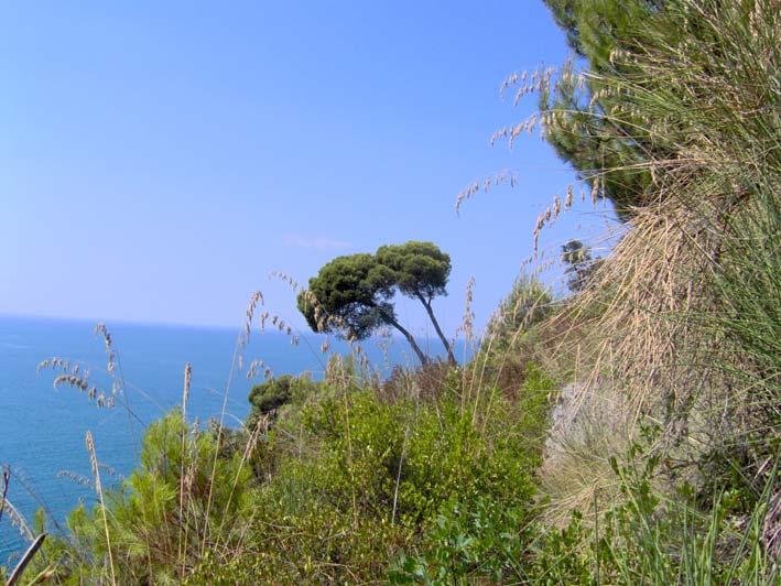 Punti chiave per l introduzione del GPP nelle Aree Naturali Protette del Lazio Sono stati individuati i punti chiave che caratterizzeranno l introduzione delle procedure del Green Public Procurement