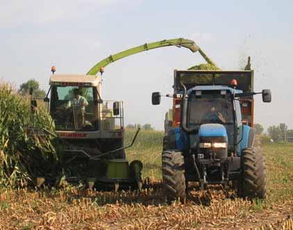Micotossine nel mais: la prevenzione in campo Il completamento dell essiccazione deve avvenire nel più breve tempo possibile, al massimo entro 48 ore dal ricevimento della granella.