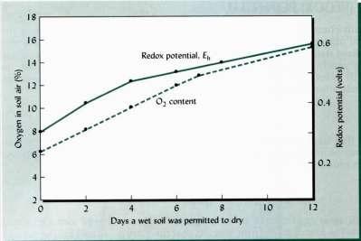 Il potenziale redox (E h ) del terreno L'E h del suolo è la risultante dei potenziali di tutti i sistemi redox presenti nel sistema ed è condizionato dal ph del mezzo; viene determinato