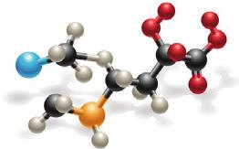 I radicali liberi sono prodotti di scarto che si formano dai processi metabolici nel corso della produzione di energia. Se prodotti in eccesso possono anticipare l'invecchiamento cellulare.