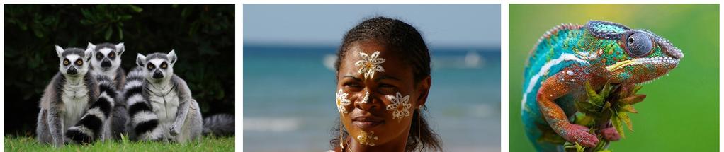 Nosy Be - Madagascar 1 La destinazione del viaggio è Nosy Be, la più grande tra le isole del Madagascar, laddove le acque calde del Canale di Mozambico, la protezione del Massiccio di Tsaratanana e