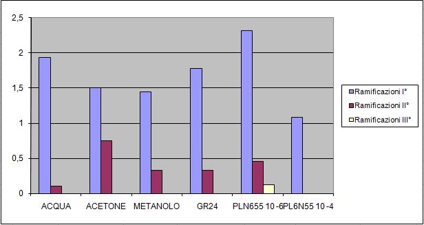 PLN655 e Gigaspora margarita: RISULTATI 1) PLN655 10-6 M risulta stimolante nei confronti della ramificazione del fungo Ramificazioni ife Valutazione sviluppo